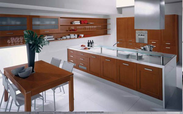 Modern kitchen cabinet ideas